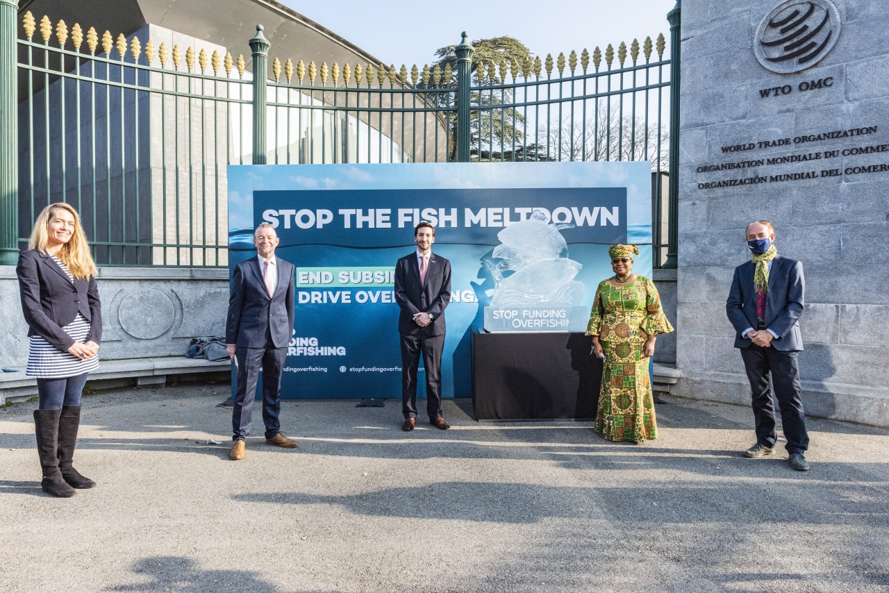 WTO deal is within reach to remove harmful fishing subsidies and halt global fish meltdown
