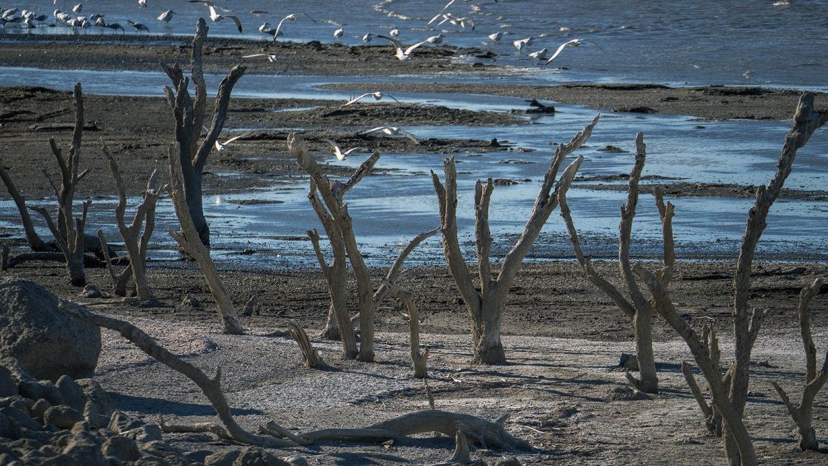 How the Salton Sea Became an Eco Wasteland