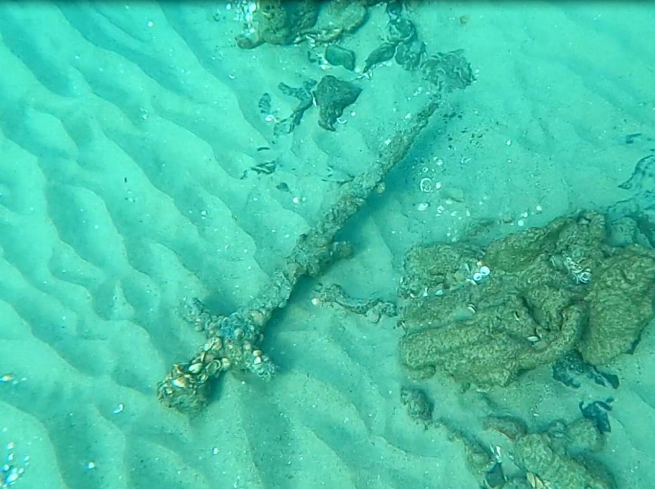 Diver Discovers 900-Year-Old Crusader Sword Off Israel's Coast