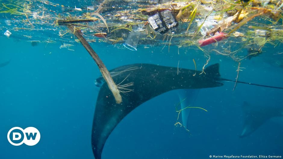 Climate change: EU-backed study shows alarming state of oceans