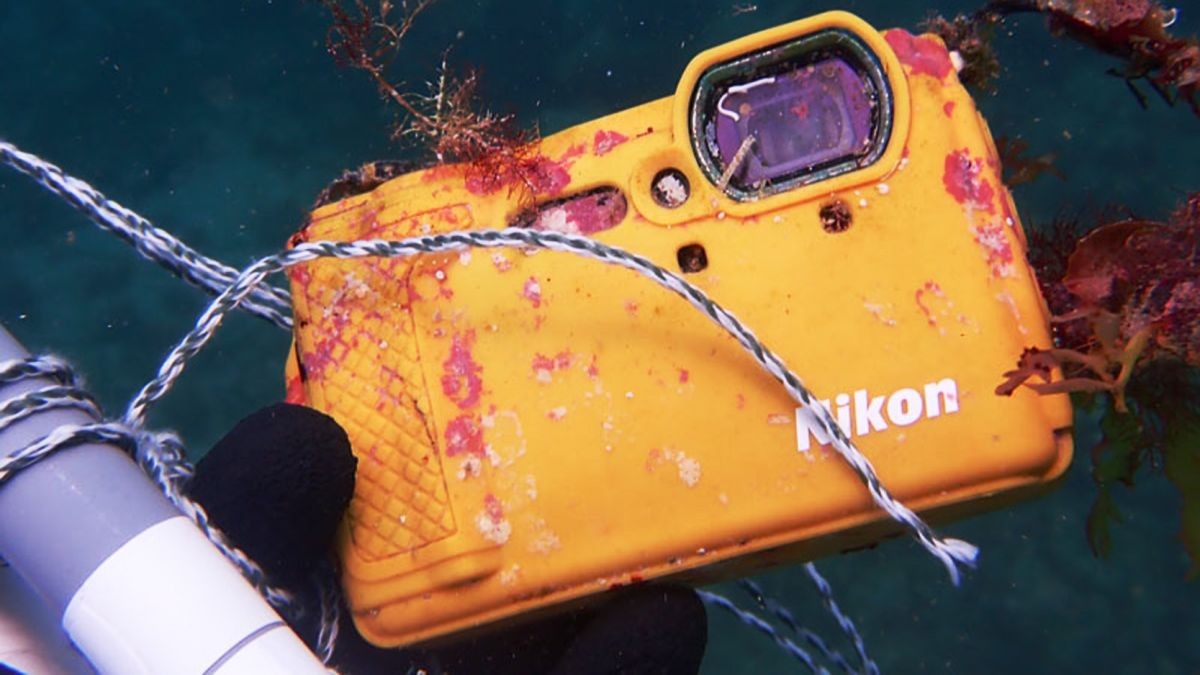 Nikon Coolpix W300 camera lost at sea turns up year later as if nothing happened