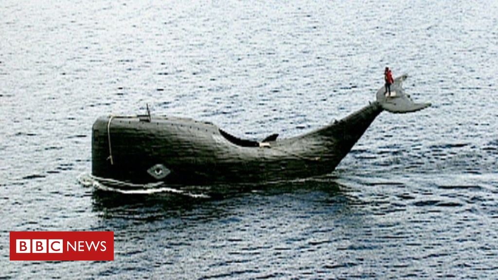 Tom McClean: The man who still dreams of crossing Atlantic in a whale