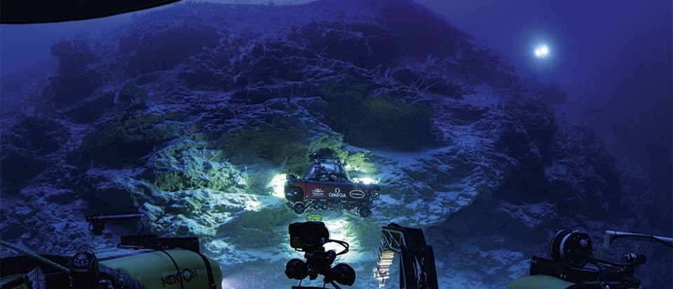 Deep-sea mountains: Earth’s unexplored ecosystems that are teeming with life