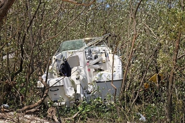 Florida man dies from "mangrove lodged into his head," authorities say