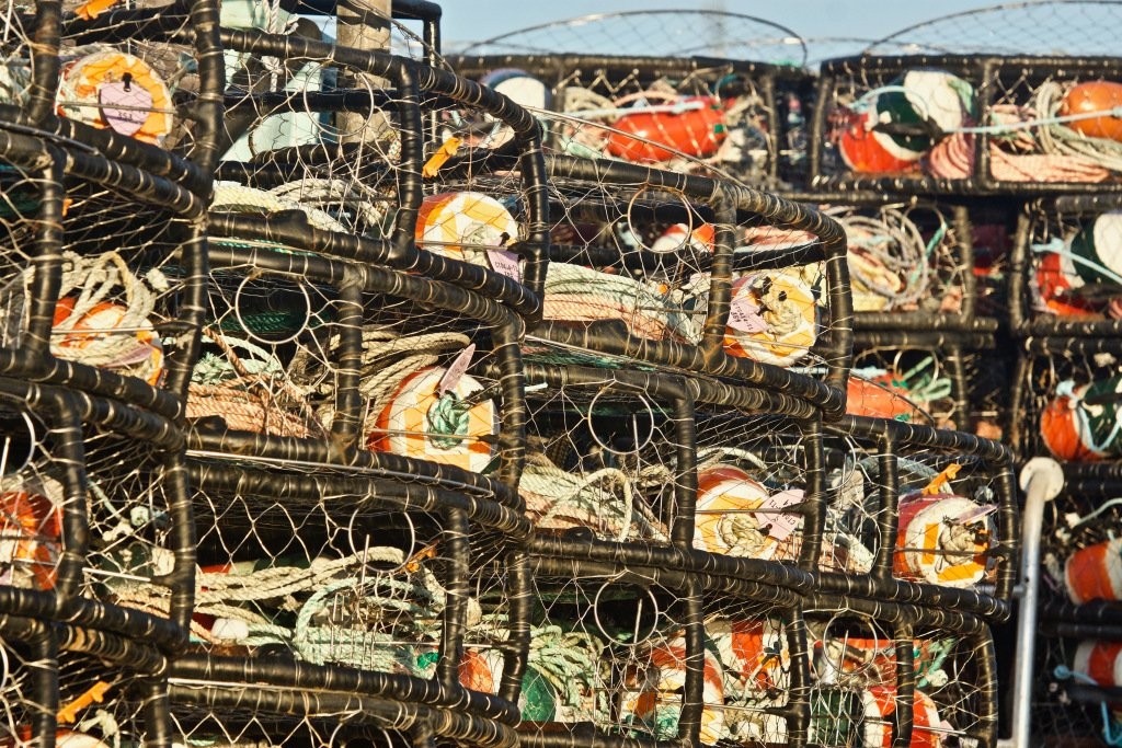 Northern California Dungeness crab fleet ordered to end operations by June 1