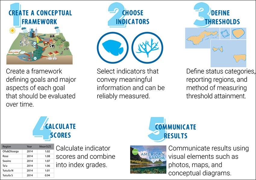 National Coral Reef Monitoring Program - Status Reports