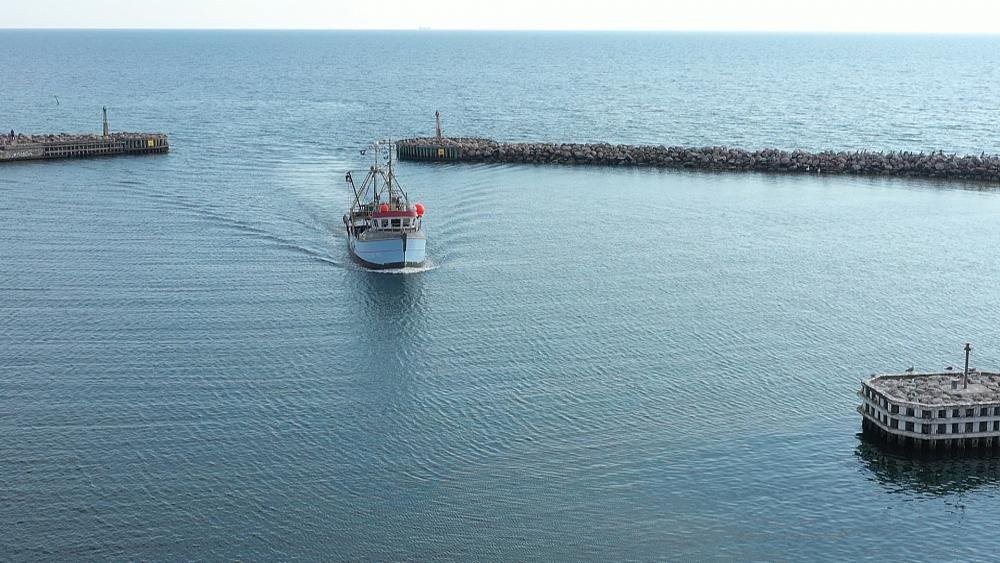 Fish are swimming to cooler waters as climate change heats our oceans