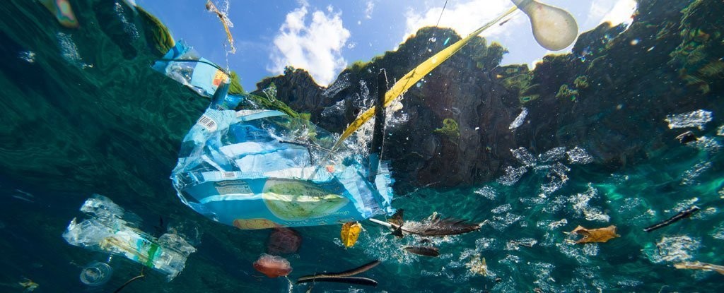 Here's What We Must Do to Stop More Plastic Polluting Our Oceans, Says New Report