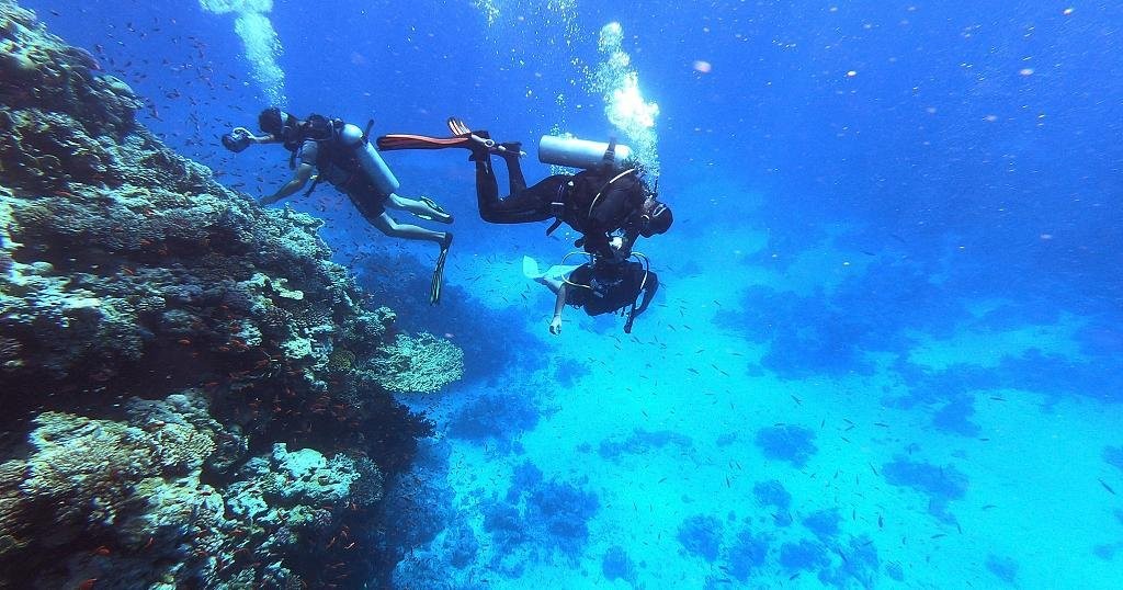 Egypt's Rea Sea corals in danger as oceans warm up | Africanews