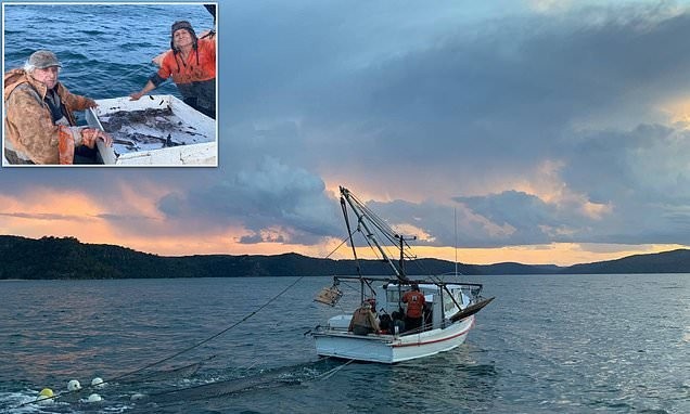 Meet the 100-year-old NSW fisherman who has spent his life trawling