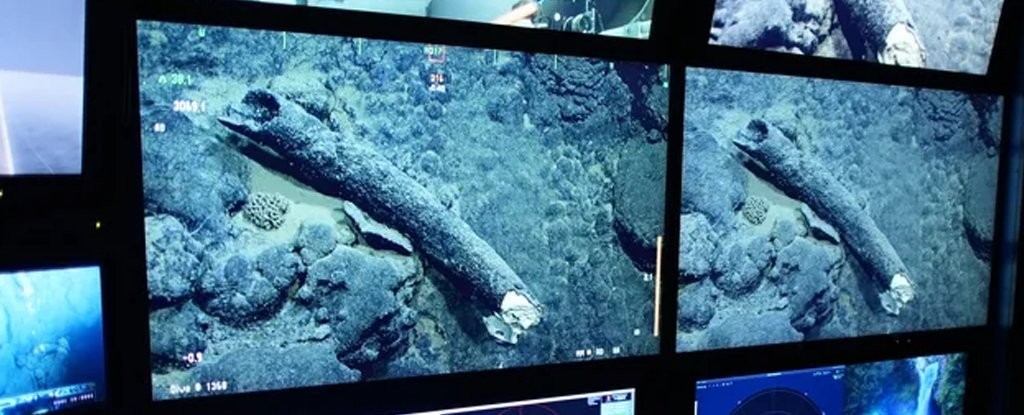 A 100,000-Year-Old Mammoth Tusk Has Been Discovered Off The Coast of California