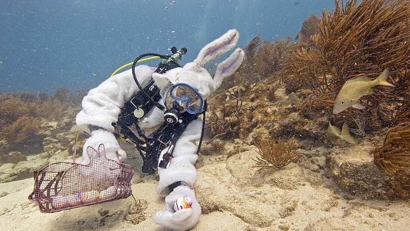 Underwater Easter egg hunt in Florida