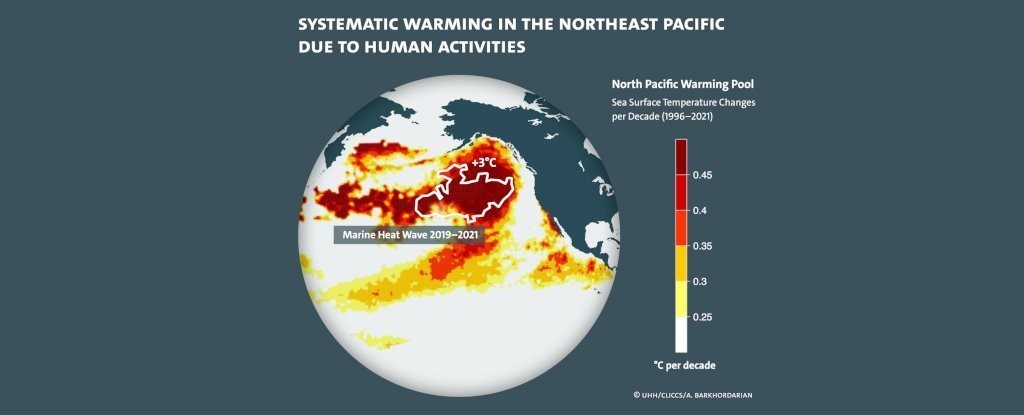 Researchers Finally Tracked Down The Source of The Deadly Pacific Ocean 'Blob'