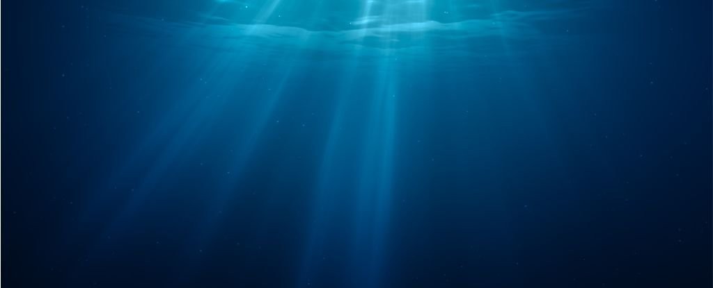 More Life Than We Ever Realized Could Survive in The Deep Dark of The Ocean