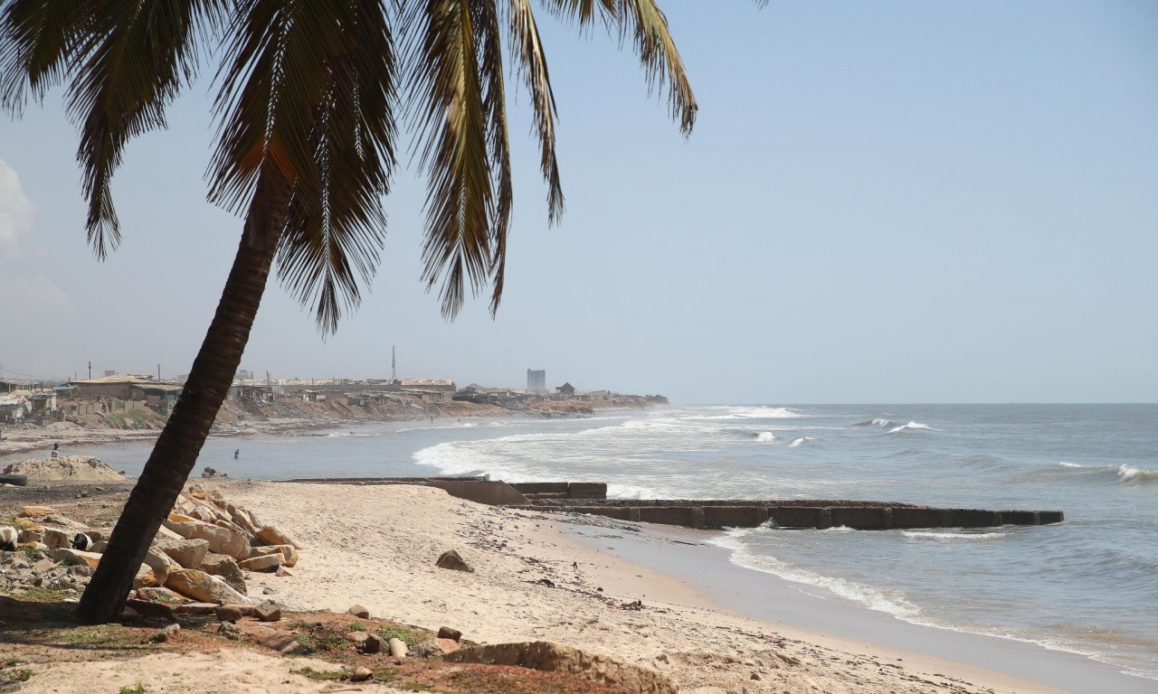 Hundreds of dead dolphins and fish wash up on beaches in Ghana