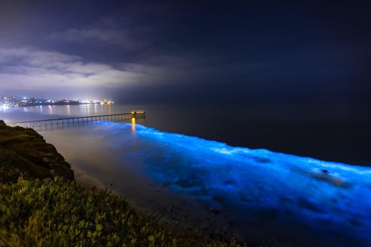 Bioluminescent Waters Glowing Along The Southern California Coast