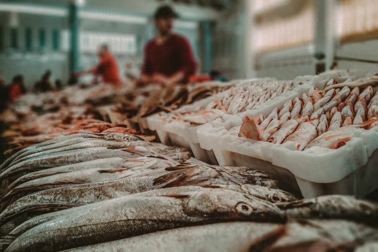 A Guide to Sustainable Seafood Shopping 2021 | The Manual