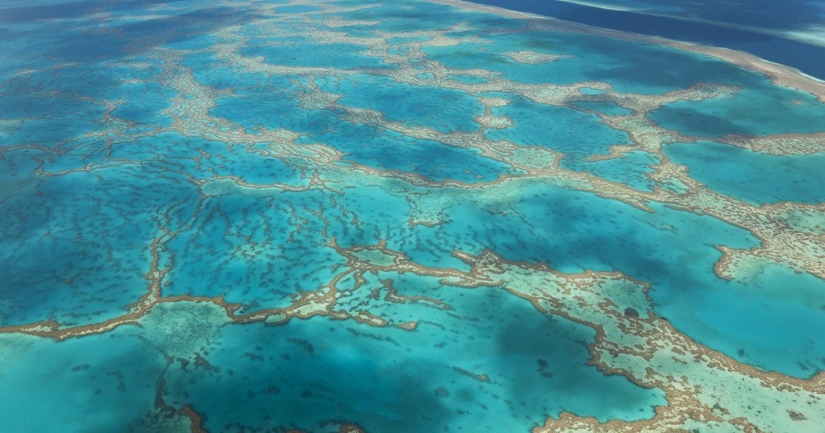 Ships releasing alkalinizing agents could buy time for Great Barrier Reef