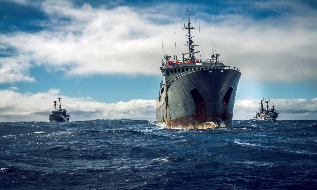 ‘It was sink or turn yourself in’: behind a dangerous 10,000 mile ocean pursuit