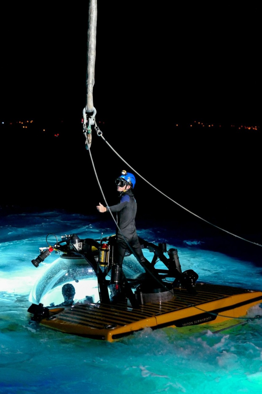 Deep-sea shark bonanza seen off remote island chain