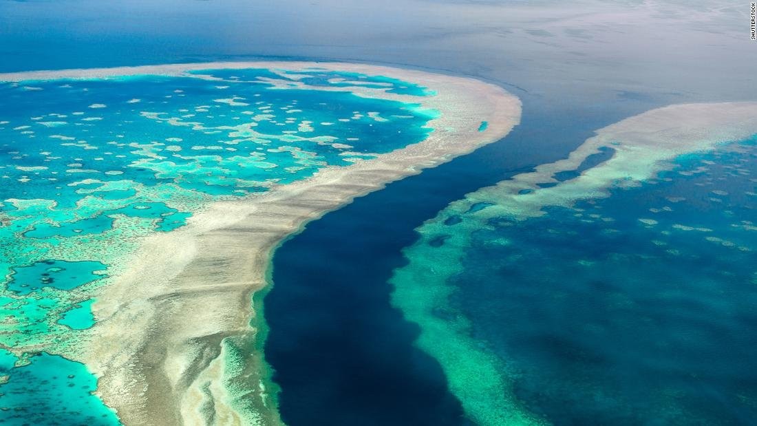 The Great Barrier Reef is in 'danger,' UN says. Australia disagrees