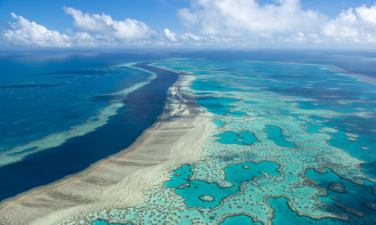 The Great Barrier Reef is not on the ‘in danger’ list. Why, and what happens next?