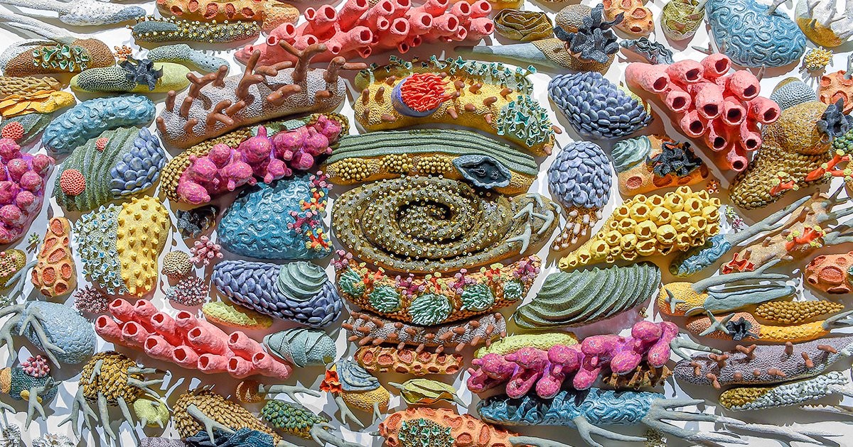 Hundreds of Ceramic Marine Creatures Radiate in Gradients to Show the Effects of Coral Bleaching