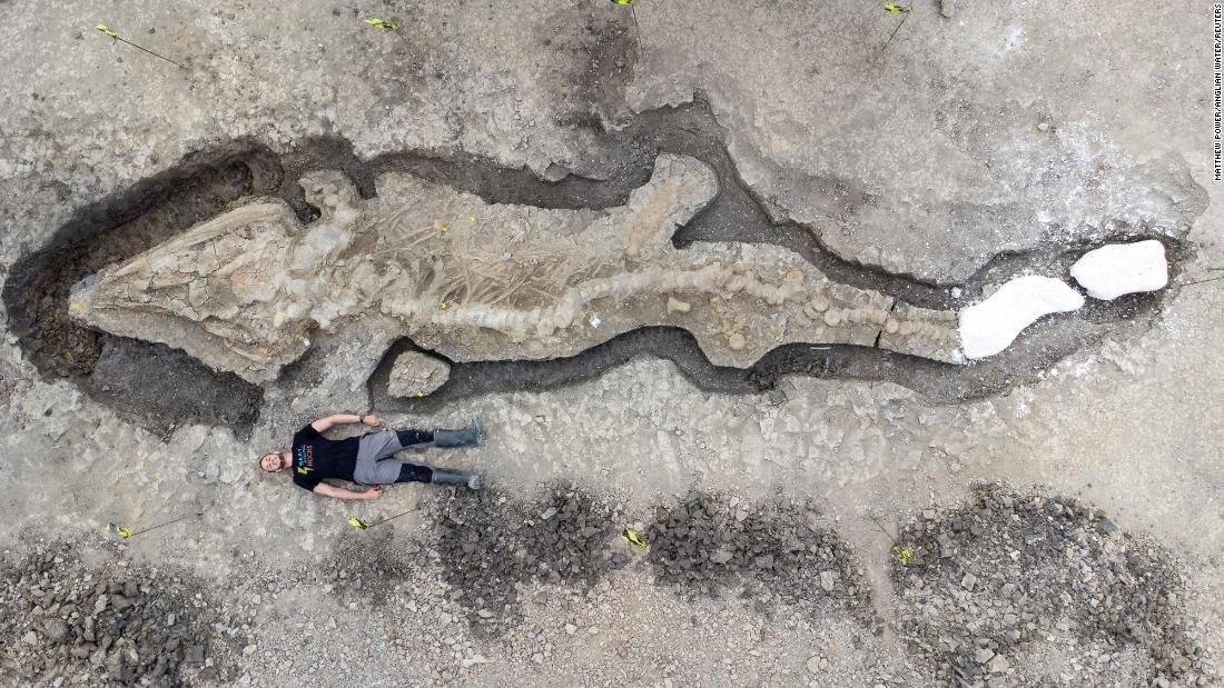 Giant 180 million-year-old 'sea dragon' fossil uncovered