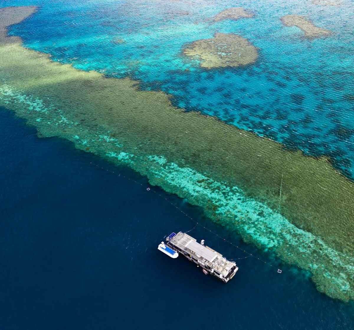 Australia’s first underwater hotel, Reefsuites, allows you to mingle with the Great Barrier Reef’s rich marine life without wetting a toe!