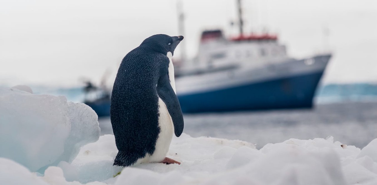 Antarctica: each tourist effectively melts 83 tonnes of snow – new research