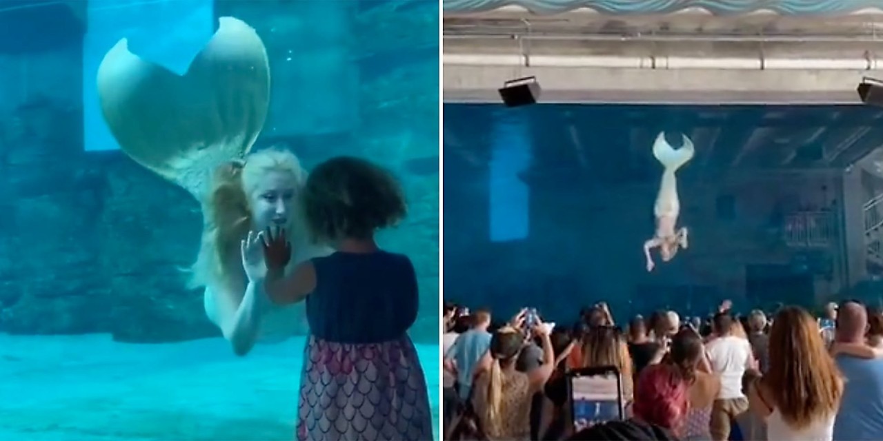 'They have not supported us': Mermaid performer speaks out against aquarium for alleged sexual harassment in viral TikToks