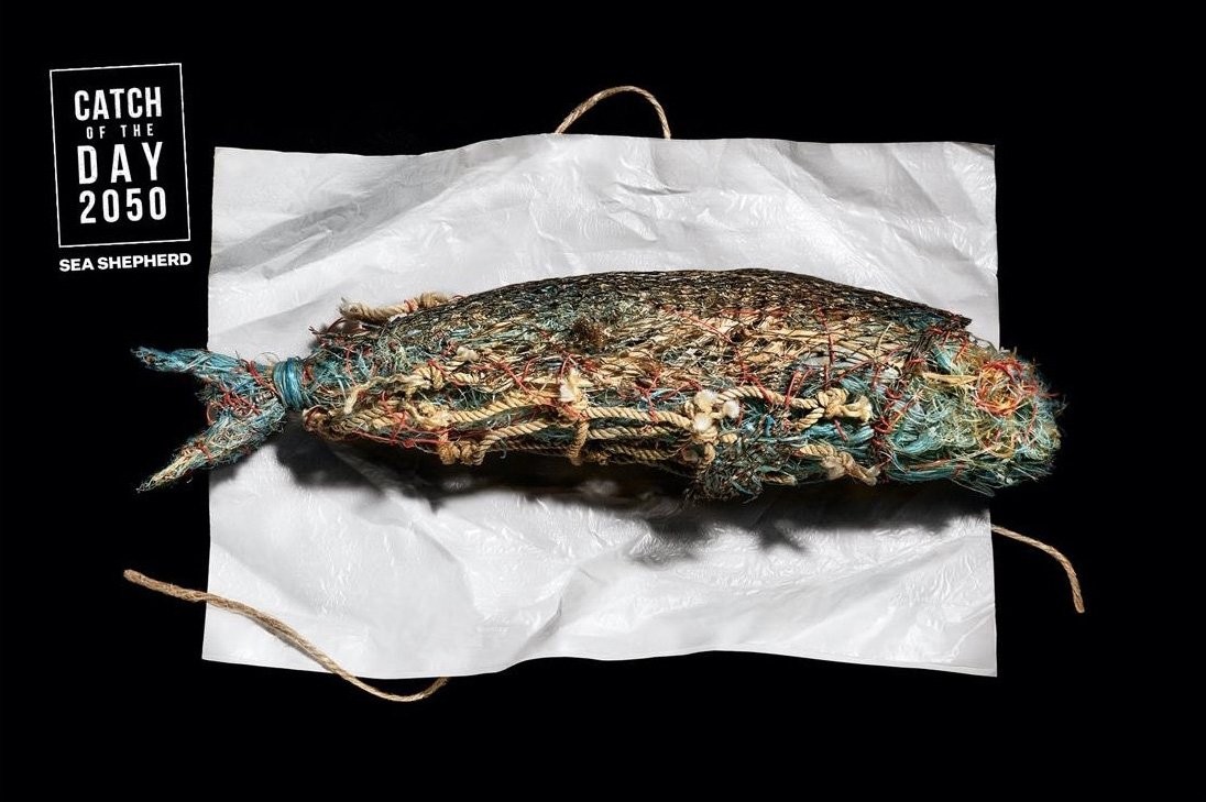 These Fish Made of Marine Debris Warn of Rising Ocean Pollution