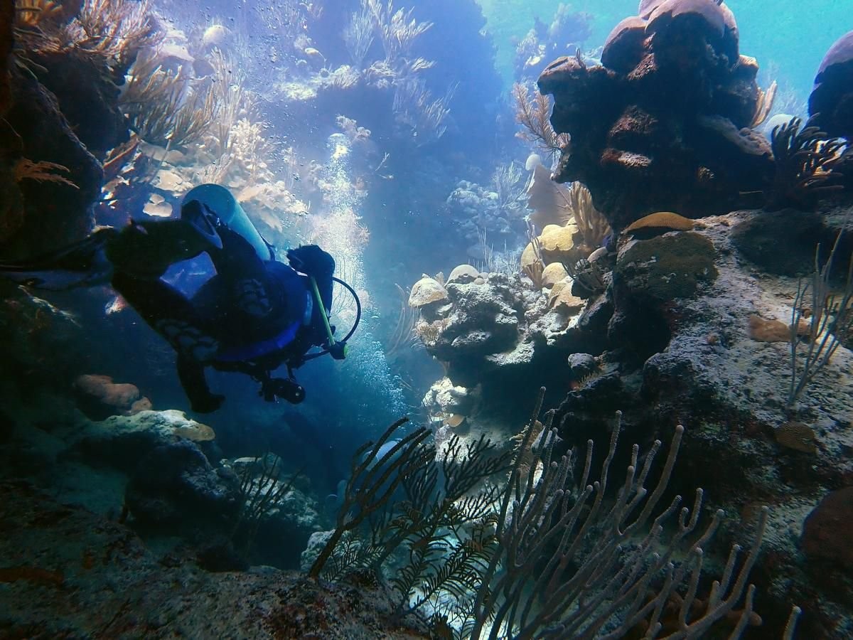 The beauty of Bermuda’s shipwrecks: The island’s accidental underwater museum and coral reefs lure divers from all over the world