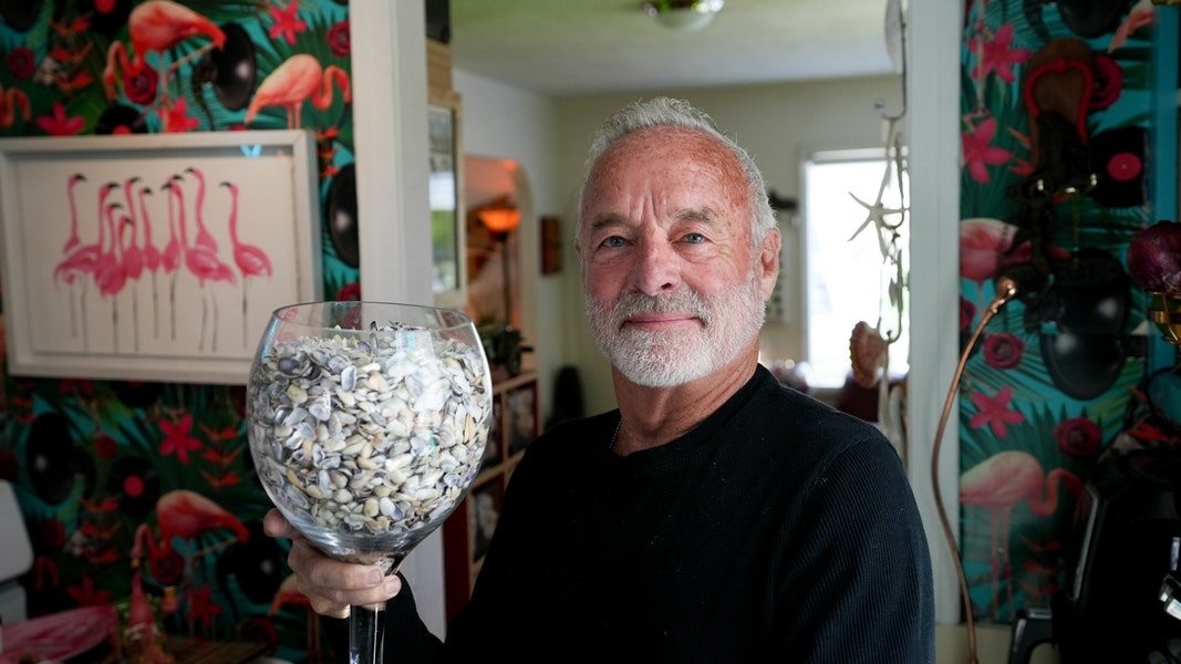 Meet the Seashell Millionaire ‍️