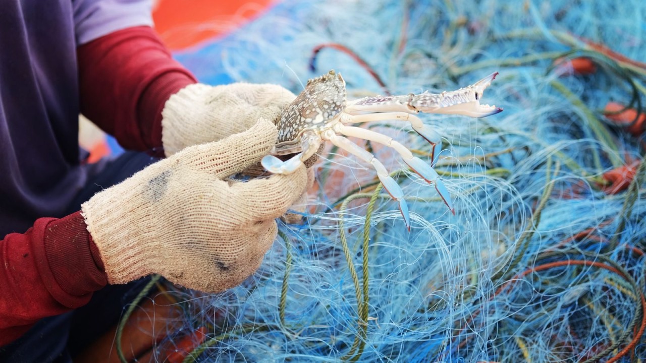 CEO Note: U.S. Demand for Seafood Continues to Drive Illegal Fishing Around the World