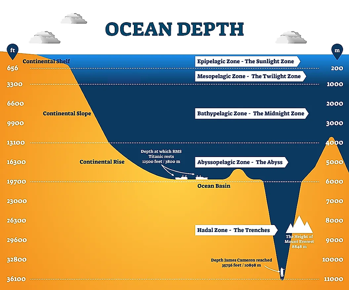 The 5 Different Layers Of The Ocean You Never Heard Of