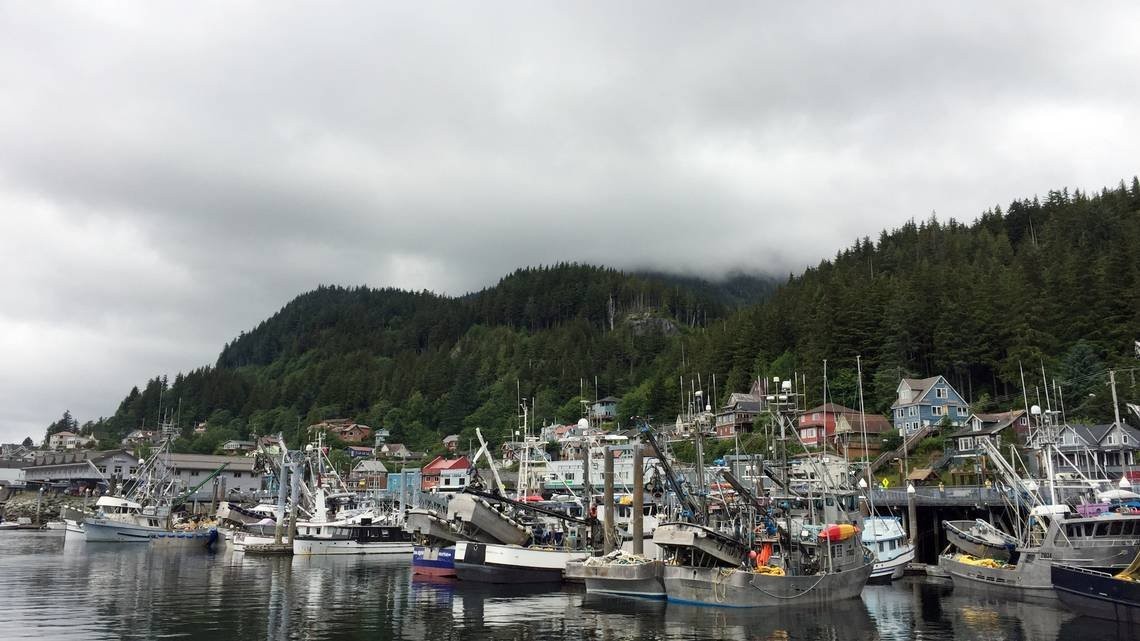 Did climate change really kill billions of snow crabs in Alaska? Here’s what experts say