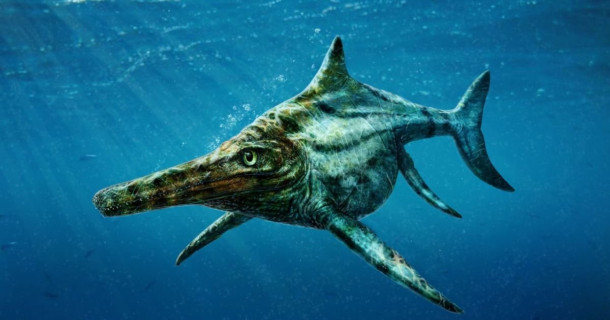 Sea predator with massive jaw which dwarfs the megalodon was biggest beast ever