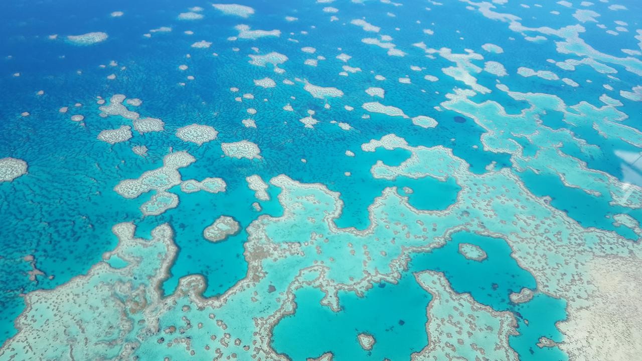 Degradation Of Reef Keeps Coasts At Risk - Zenger News