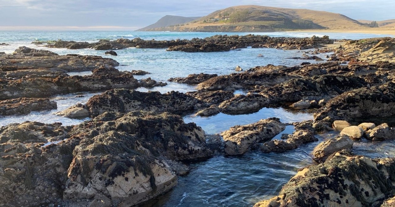 This Small Town Beach Is Home To California's Best Tide Pools