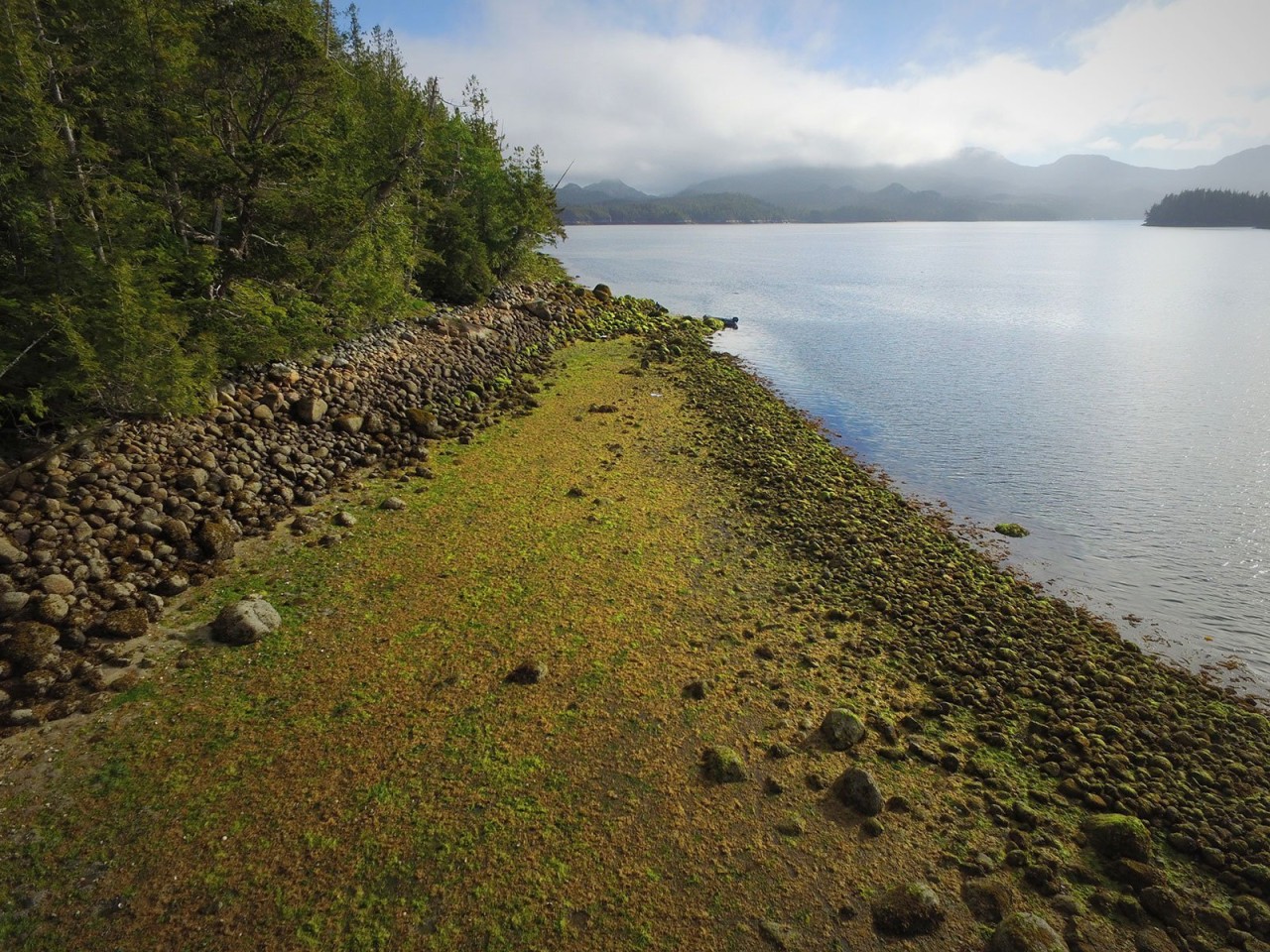 How Indigenous Sea Gardens Produced Massive Amounts of Food for Millennia