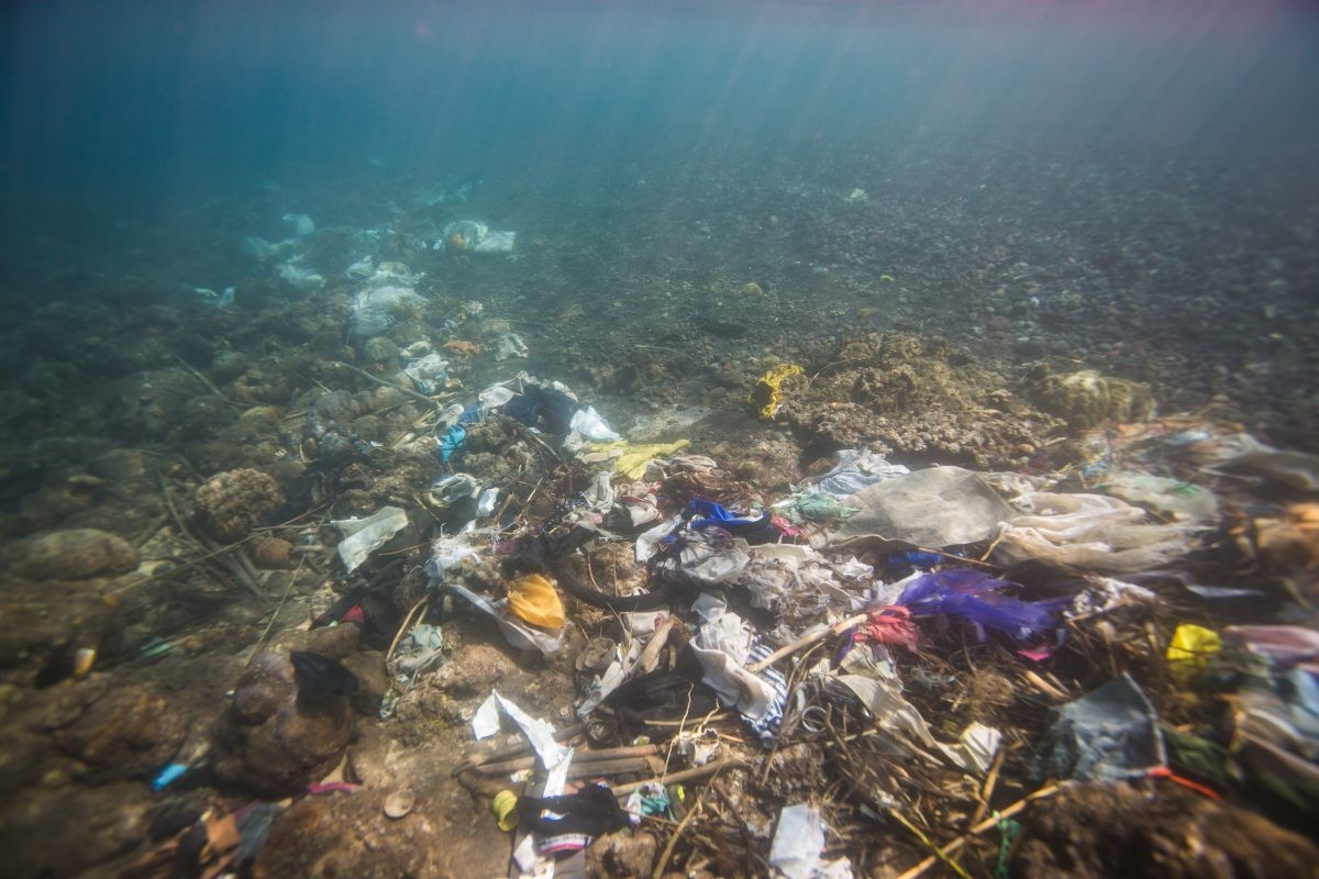 The Troubling Impact of Ocean Plastics on Human Health