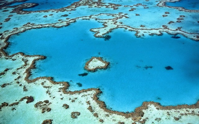 Using probiotic bacteria to protect against coral bleaching