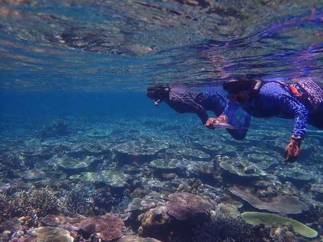 In Melanesia, Indigenous Women Take on Coral Conservation