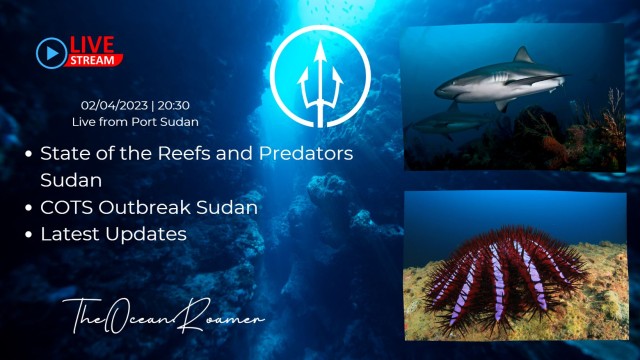 State of the Reefs & COTS Outbreak updated. Live Vlog