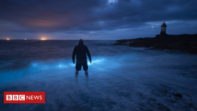 Anglesey: 'How we photographed a bioluminescence sea sparkle'