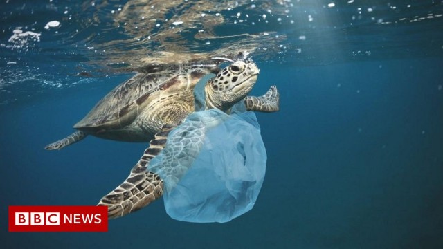 Plastic pollution: Green light for 'historic' global treaty