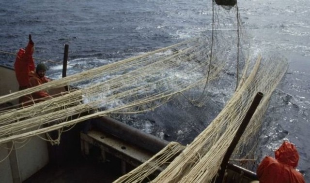 EU fishing chiefs launch massive crackdown on Irish fleet in wake of quotas scandal