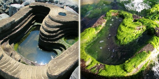 An Israeli Startup’s Concrete ‘Bio-Habitats’ Bring Life Back to Urban Coastal Waters