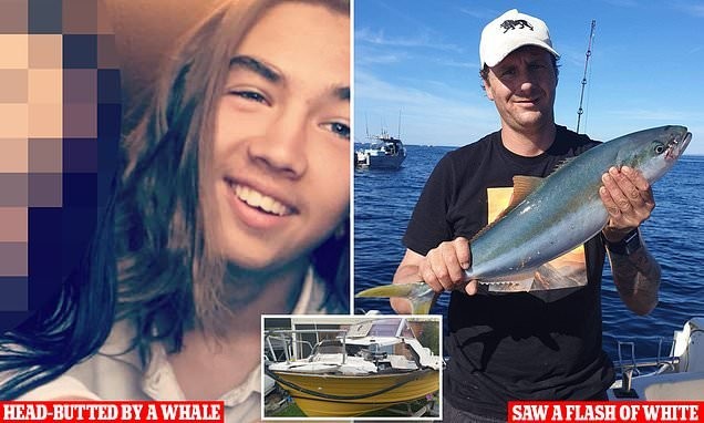 Man saw a 'flash of white' before his stepson was hit by a whale